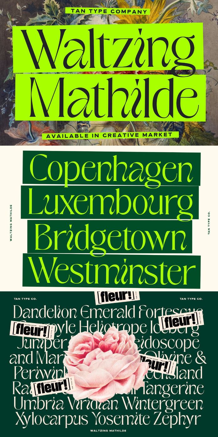 TAN WALTZING MATHILDE Font by TanType