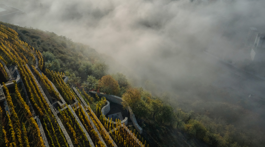 Fibonacci spiral terraced vineyard by Marco Maio Architects Fibonacci spiral terraced vineyard by Marco Maio Architects