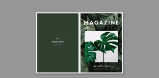 A Colorful and Fully Customizable Magazine Template for Adobe InDesign