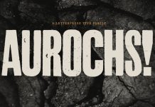Aurochs letterpress font family by Polymath