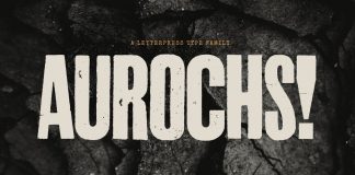 Aurochs Font Family by Polymath Aurochs letterpress font family by Polymath