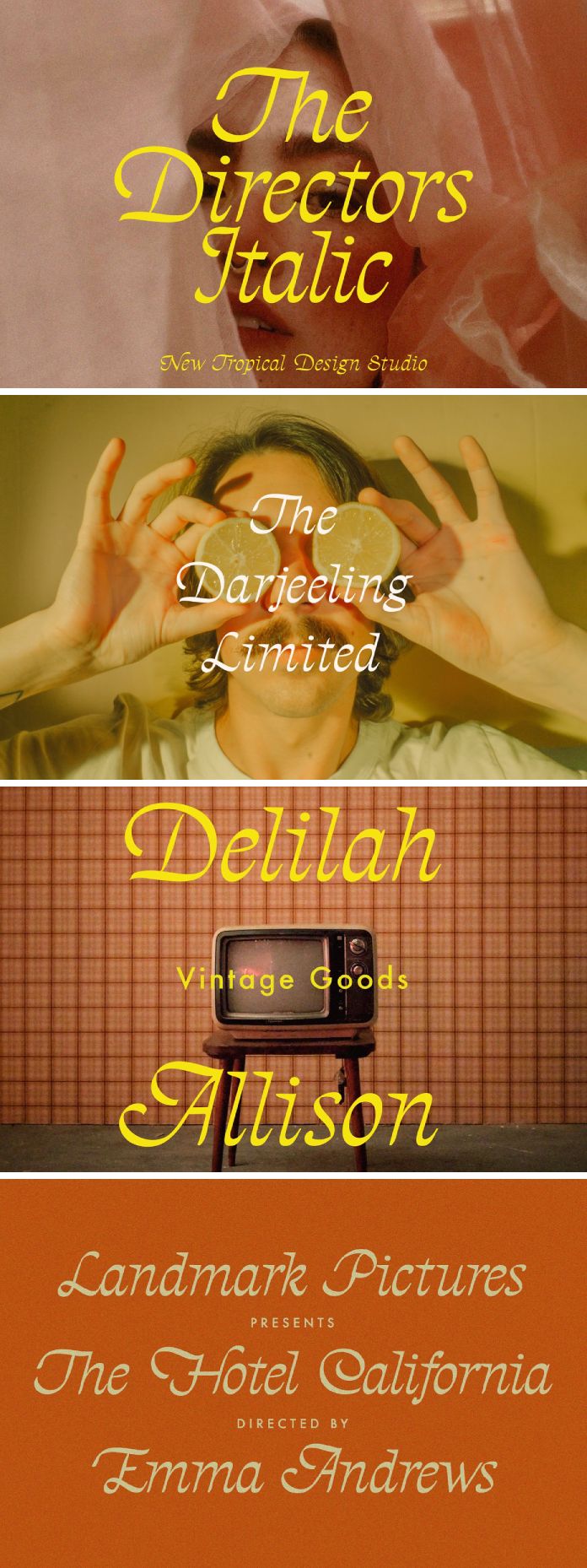 The Directors Italic Typeface by Tropical Type
