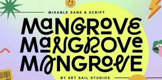 Mangrove Font Family by Set Sail Studios