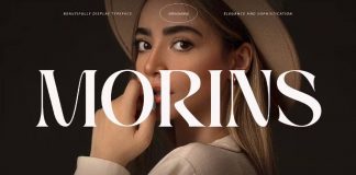 Morins Serif Font by Perfectype