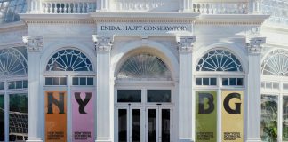 Wolff Olins has worked with The New York Botanical Garden on its first rebrand in over a decade.