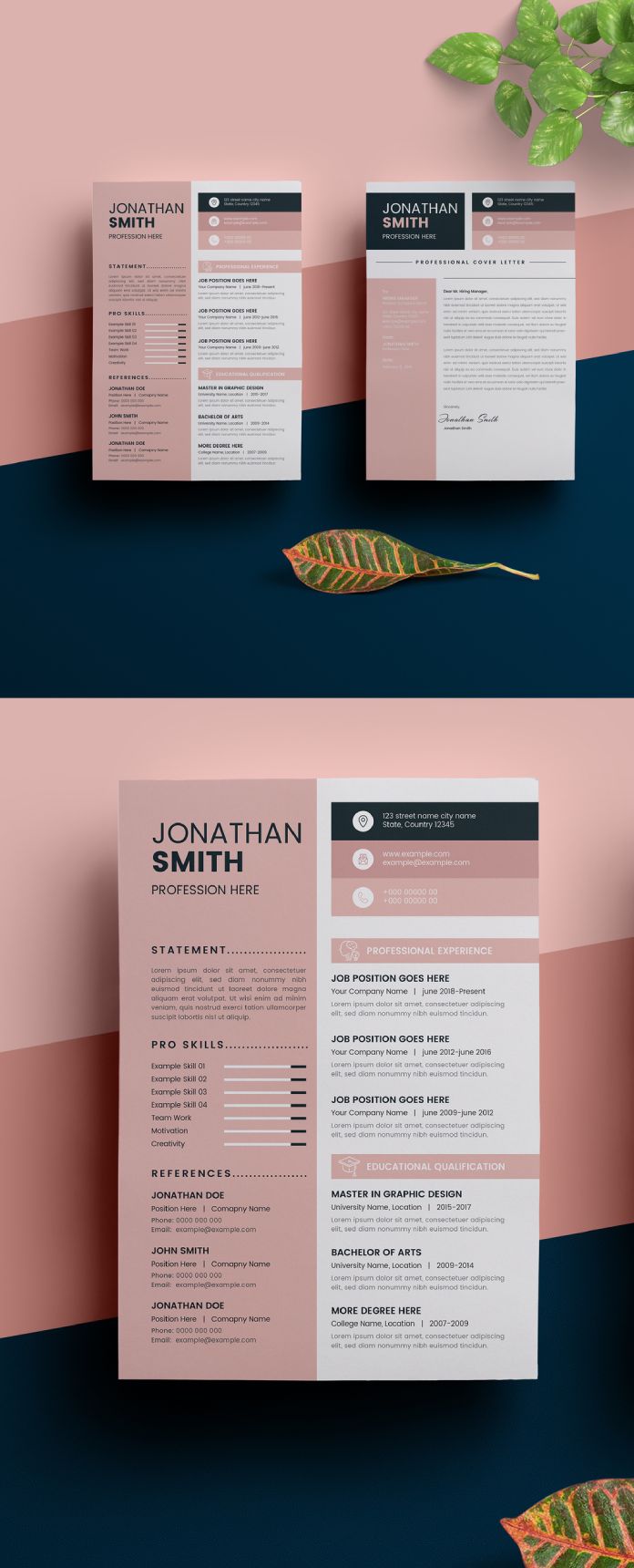 A Resume Illustrator Template with Sidebar and Pink Design Elements by CristalpDesign