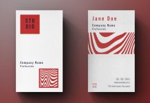 Vertical Business Card Template for Adobe InDesign by Roberto Castillo