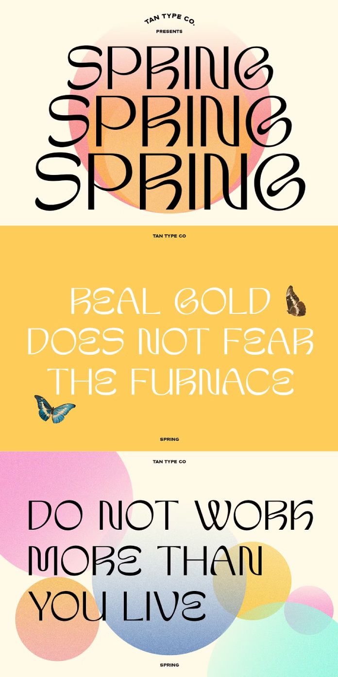TAN Spring Font by TanType