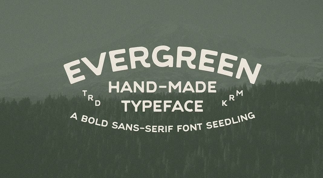 Evergreen Font by Studio David