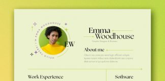 Unique and elegant resume template for Adobe InDesign