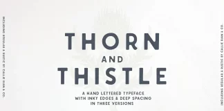 Thorn & Thistle Layering Font by Callie Rian & Co.