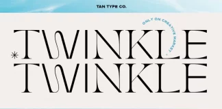 TAN TWINKLE Font by TanType