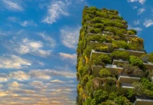 Biophilic Design in Architecture and Interior Design