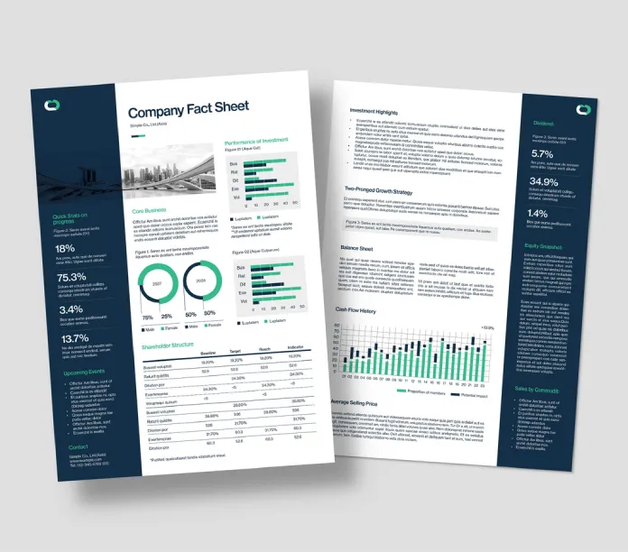 Business fact sheet template by BrandPacks for Adobe InDesign