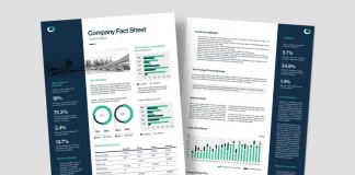 Business fact sheet template by BrandPacks for Adobe InDesign