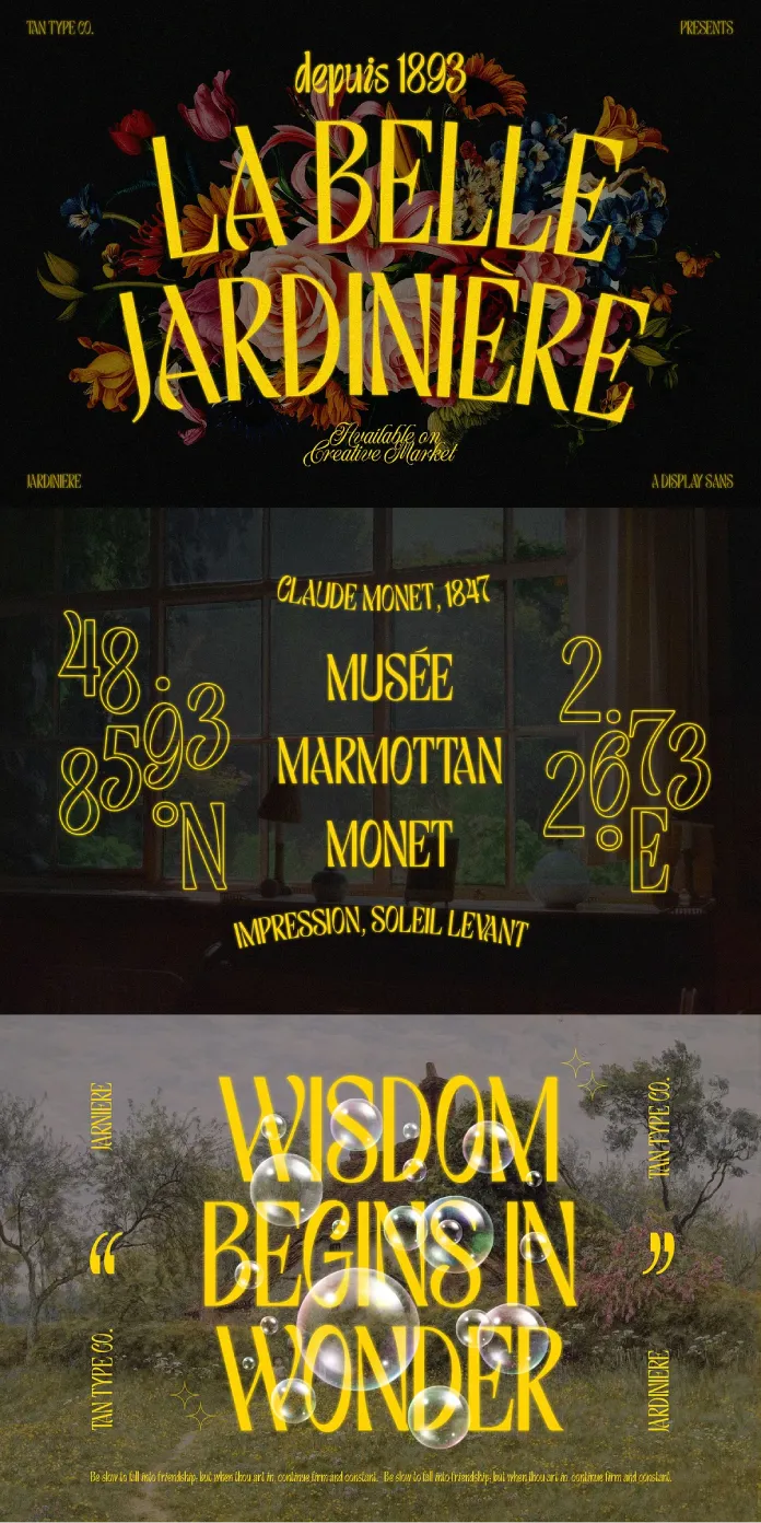 Tan Jardiniere Font by TanType