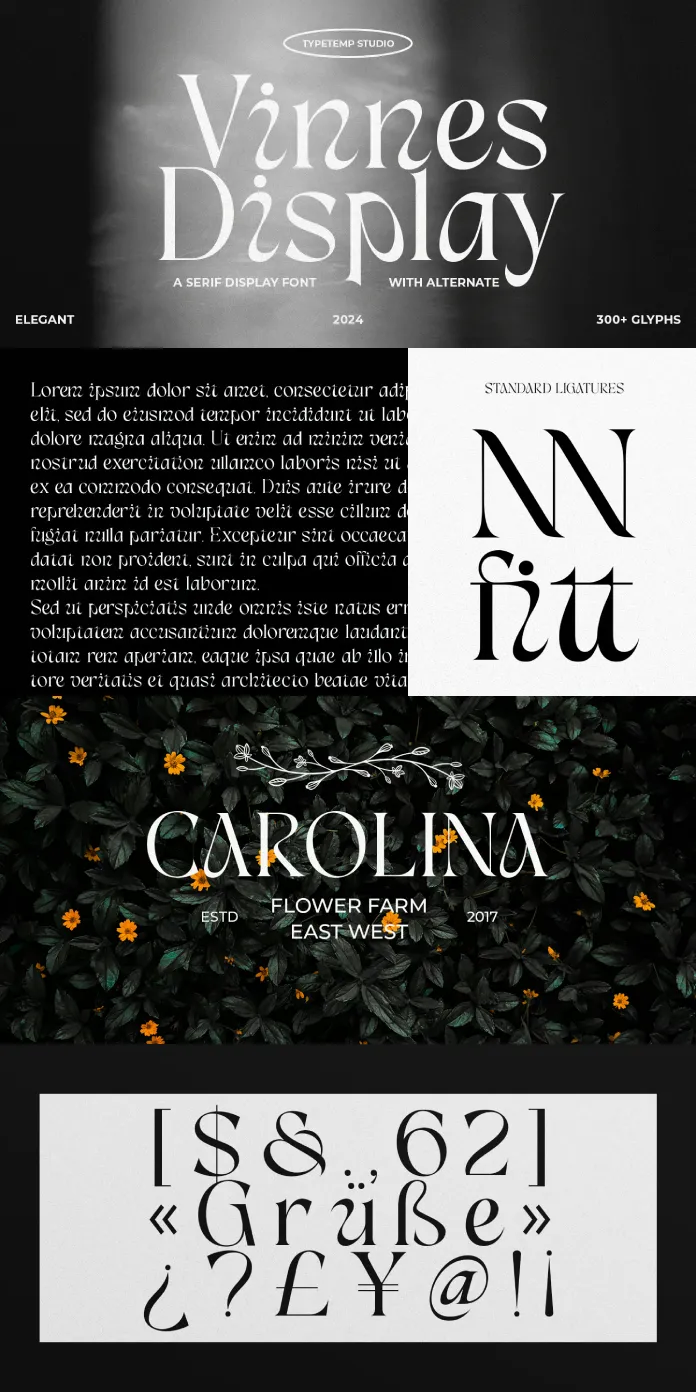 Vinnes Display Font by Typetemp Studio