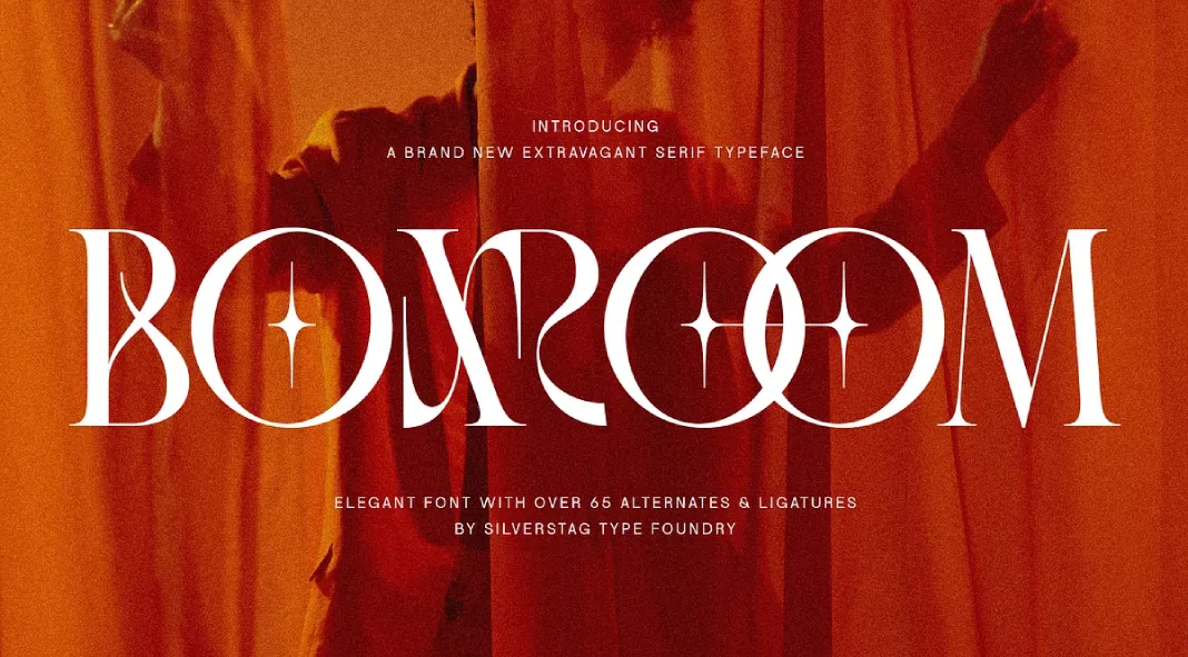 SLTF BOXROOM by SilverStag Type Foundry
