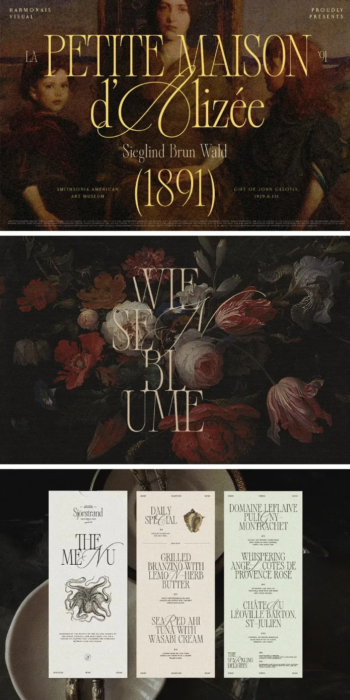 Alizee Font - Classy Hybrid Serif Typeface by Harmonais Visual