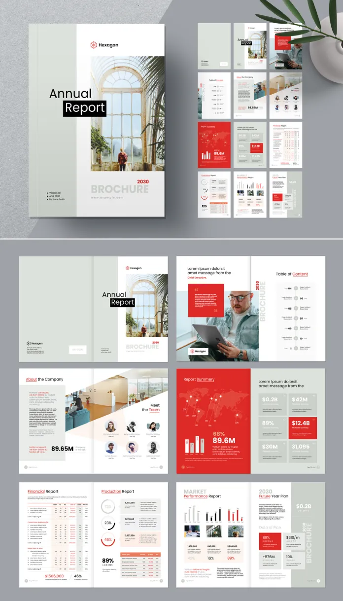 Annual Report Template by GraphicArtist for Adobe InDesign
