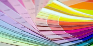 Color Psychology and the Limbic System