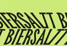 TT Biersal Font Family TypeType