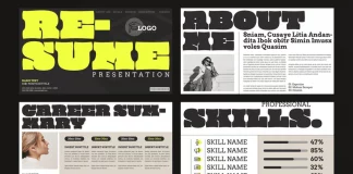 CV Resume Presentation Template with a Unique Layout and Design by E-Type