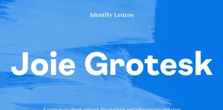 Joie Grotesk Font Family by Moritz Kleinsorge of Identity Letters