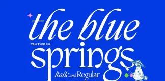 TAN Blue Springs Font by TanType