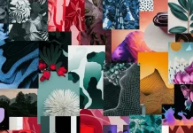 Best Graphic Design Software 2025