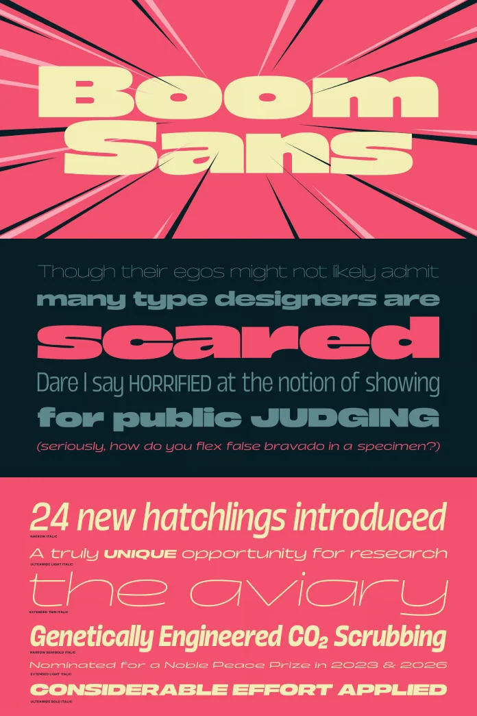 Boom Sans Font Family by Positype
