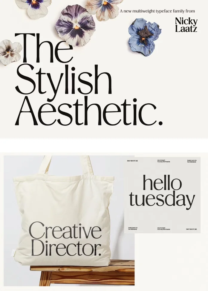 Stylish Aesthetic Font by Nicky Laatz