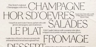 Stylish Aesthetic Font by Nicky Laatz