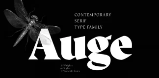 Auge Font Family by Fontfabric
