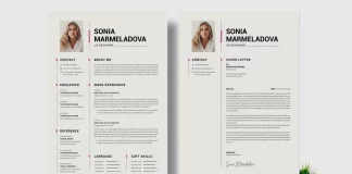 The Perfect Clean Professional Resume and Cover Letter Template by PixWork for Adobe InDesign