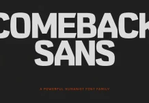 Comeback Sans Font Family by DKType Foundry