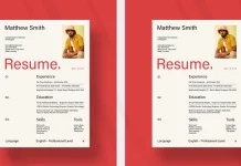 Stylish Adobe InDesign Resume Template by PixWork in A4