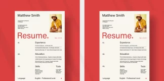 Stylish Adobe InDesign Resume Template by PixWork in A4