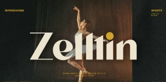 Zelltin Font Family by Ardyanatypes