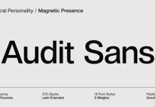 Audit Sans Font Family by Gravitype Audit Sans Font Family by Gravitype