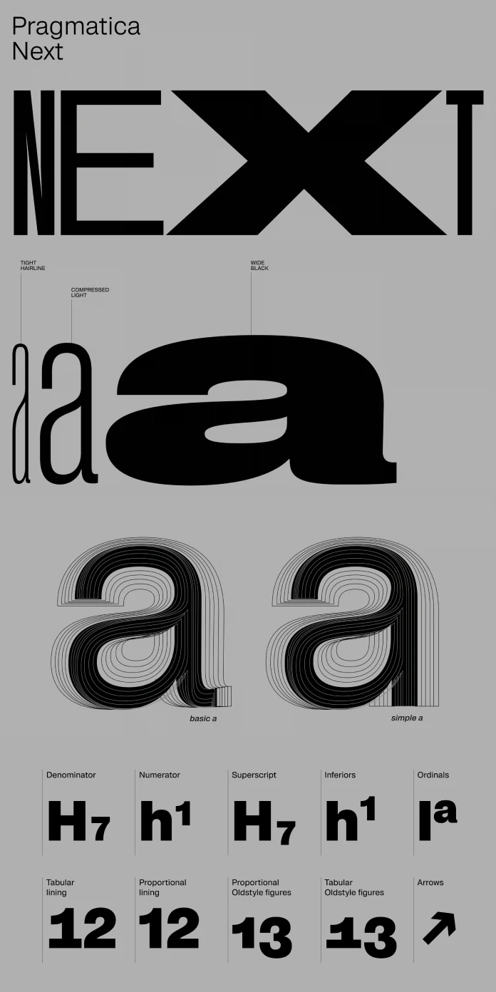 Pragmatica Next Font Family by ParaType