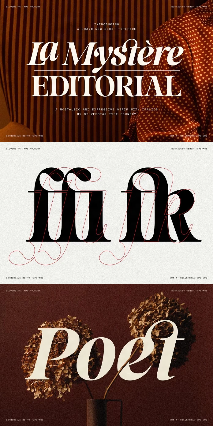 SLTF La Mystere Font by SilverStag Type Foundry