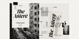 SLTF La Mystere Font by SilverStag Type Foundry