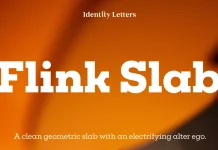 Flink Slab Font Family by Identity Letters