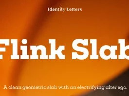Flink Slab Font Family by Identity Letters Flink Slab Font Family by Identity Letters