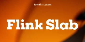 Flink Slab Font Family by Identity Letters Flink Slab Font Family by Identity Letters
