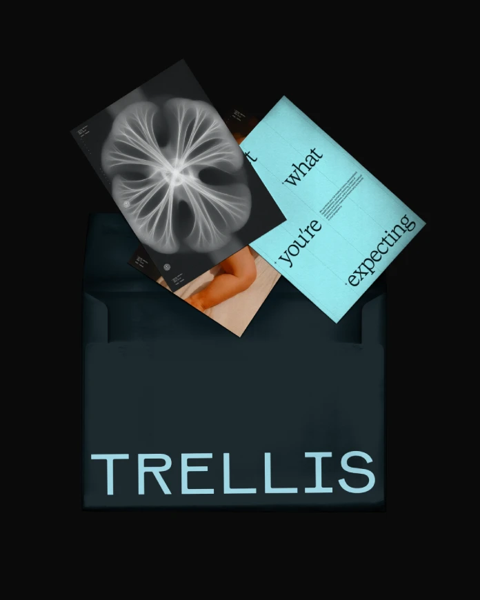 Rebrand design by How&How studio for Trellis - the mother of all US healthcare apps