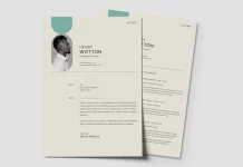 Get Your Dream Job with this InDesign Resume and CV Layout Set Adobe InDesign Resume and CV Layout Set with Pale Cyan Accents by GraphyPix