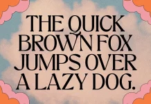 TAN Mon Amour Font by TanType TAN Mon Amour Font by TanType