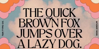 TAN Mon Amour Font by TanType